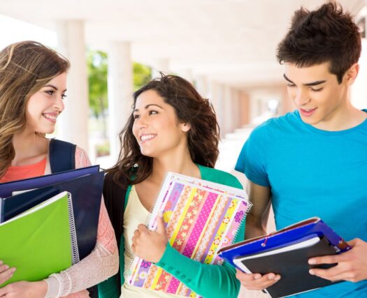 LSS Missouri-Lean Six Sigma Curriculum for High School Students LSS Missouri-Lean Six Sigma Curriculum for High School Students