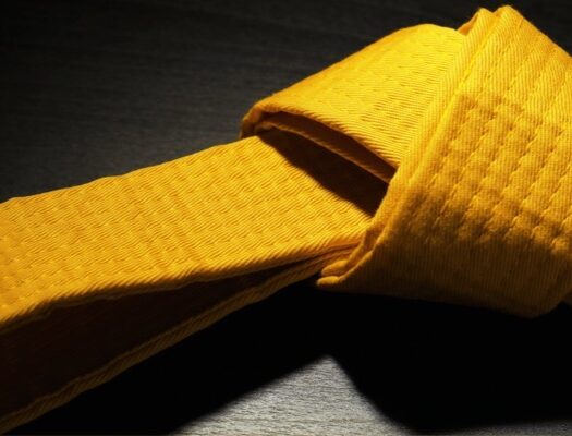 LSS Missouri-Lean Six Sigma Yellow Belt LSS Missouri-Lean Six Sigma Yellow Belt